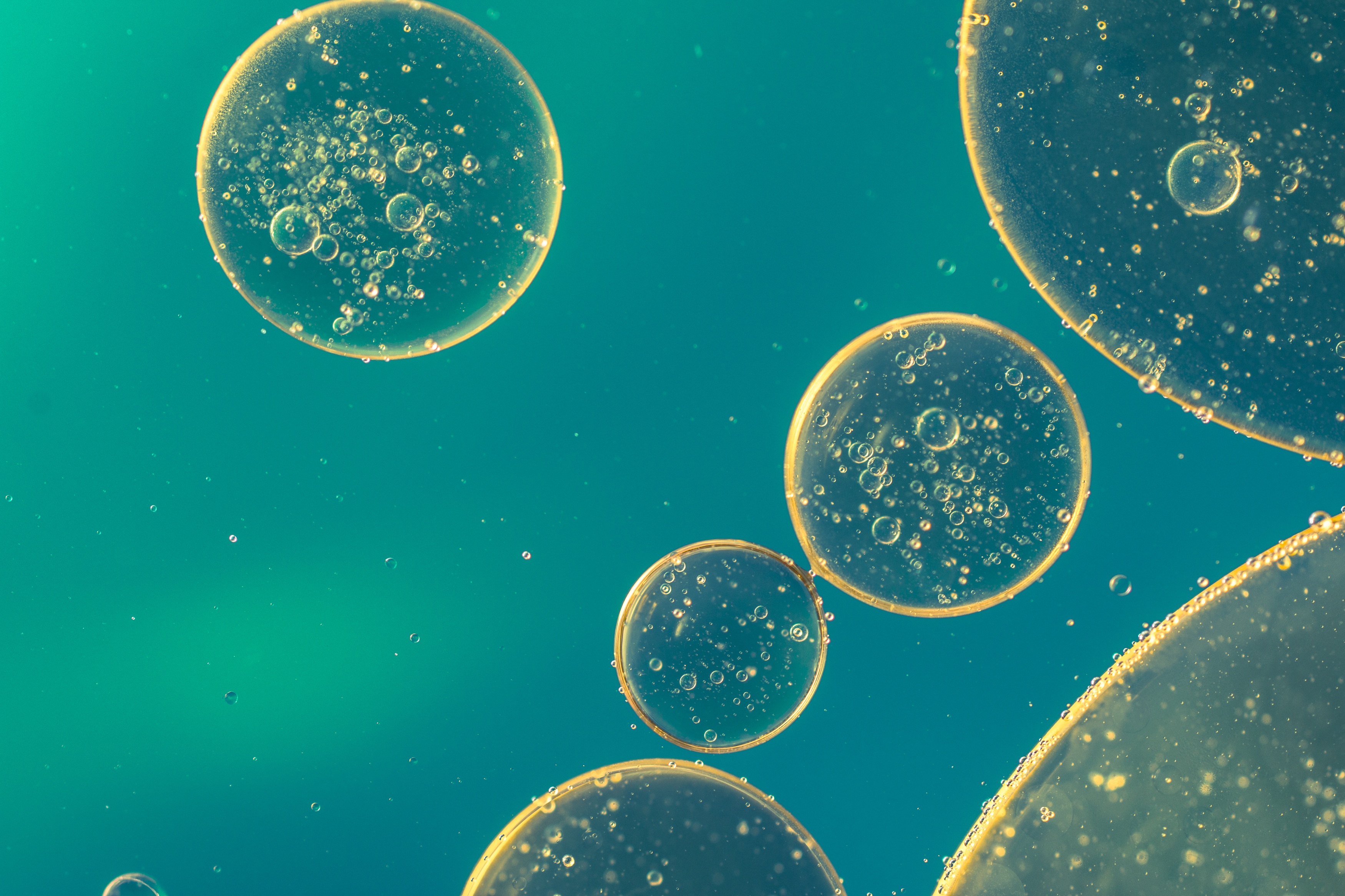 Your Lipid Clinic for Today – Wave 1