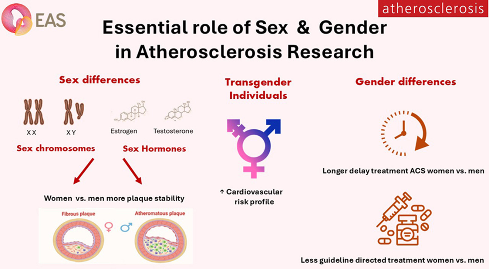 Gender
