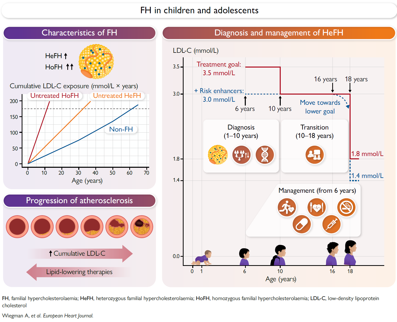 Graphical abstract